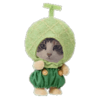Cat Sticker Sticker