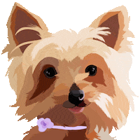 Dog Adopt Sticker by Watertown Humane Society