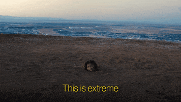 Season 3 Hbo GIF by euphoria