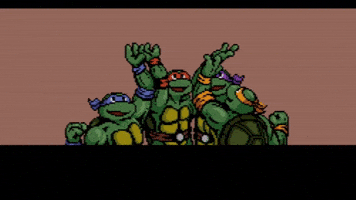 Teenage Mutant Ninja Turtles Turtle Power GIF
