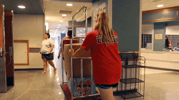 Moving Here I Come GIF by Ball State University