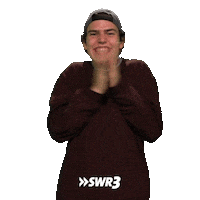 Well Done Lol Sticker by SWR3