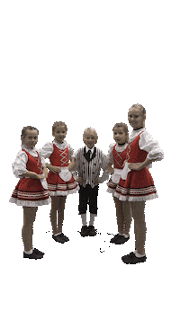 Dance Costume Sticker by Kammerkaetzchen