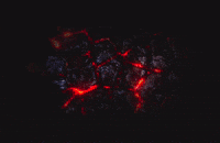 Black Fyr 22 GIF by THE BEARD STRUGGLE