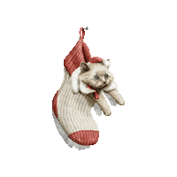 paperview_papelaria cat xmas natal merry christimas Sticker