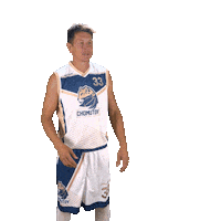 Basketball Chomutov Sticker by Levharti