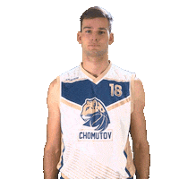 Basketball Chomutov Sticker by Levharti