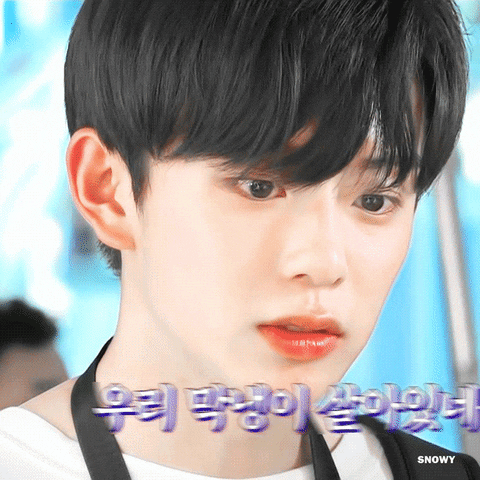 tintuckpop giphyupload GIF
