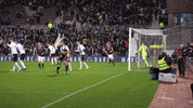 Football Hearts GIF by Heart of Midlothian