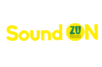 Sound On Sunet Sticker by Radio ZU