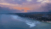 GIF by Rip Curl