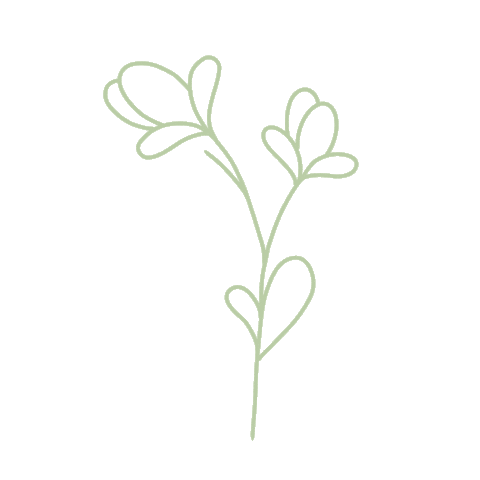 AtelierA giphyupload flower flowers ateliera Sticker