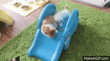 slide GIF