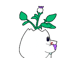 No Money Bills Sticker by Magic Eden