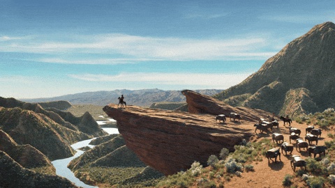EnterStudio giphyupload horse picture landscape GIF