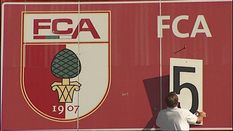 Wwk Arena Goal GIF by FC Augsburg 1907