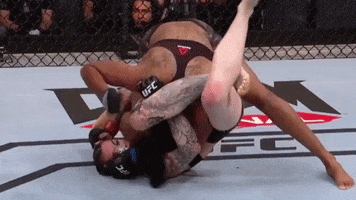 Excited Martial Arts GIF by Megan Anderson
