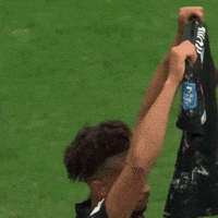 Fifa World Cup Football GIF