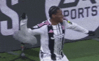 Stefer G GIF