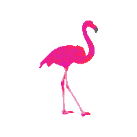 sologirlstravelguide pink travel beach tropical Sticker