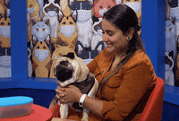 Dog Smile GIF by VPRO