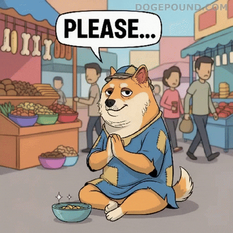 Shiba Inu Please GIF by Doge Pound
