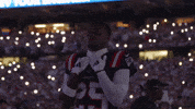 Football Nfl GIF by New England Patriots