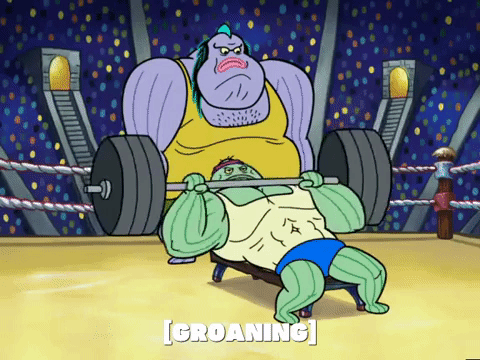 season 6 episode 13 GIF by SpongeBob SquarePants