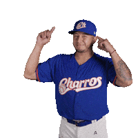Sport Baseball Sticker by Charros de Jalisco