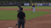College Baseball Fist Bump GIF by Cincinnati Bearcats