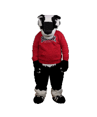 The Wave Sticker by Brock University