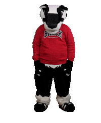 The Wave Sticker by Brock University