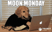 Crypto GIF by ProBit Global