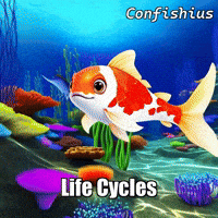 GIF by TheConfishius