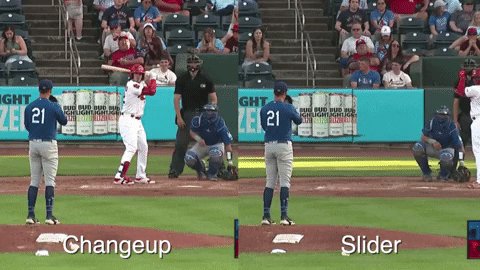 tesstass giphyupload GIF