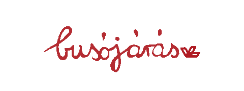Hungary Maszk Sticker
