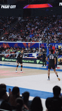Team Vamos GIF by Volleyball World