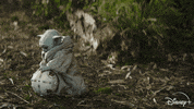 Star Wars Disney Plus GIF by Disney+