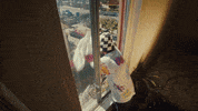 Laundry Not The Way GIF by St. Panther