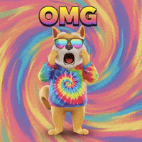 Shiba Inu Wow GIF by Doge Pound