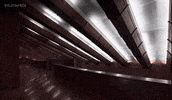 paloma faith kindness GIF by RCA Records UK