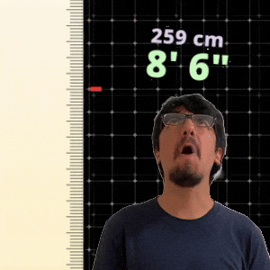 8' 6"