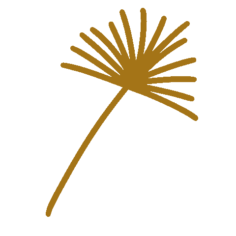 elimartinez-studio giphyupload nature plant palm Sticker