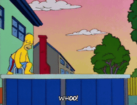 Season 6 Summer GIF by The Simpsons