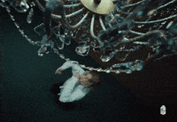 Badassfckingkid GIF by Nettspend