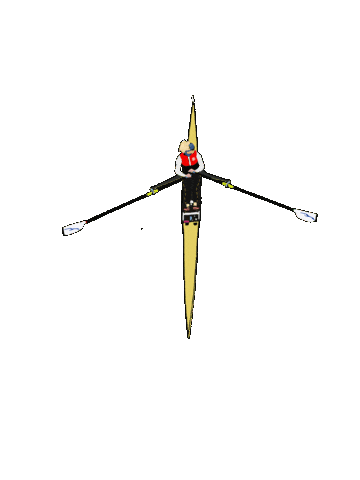 Germany Rowing Sticker by UlfBo