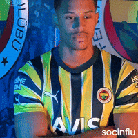 Oosterwolde GIF by Socinflu