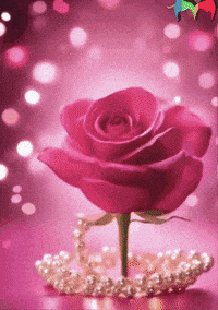 Muy Buenos Dias Feliz GIF by Murcianys LLC