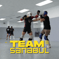 Max Holloway Ufc GIF by Sanabul