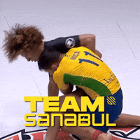 Mma GIF by Sanabul